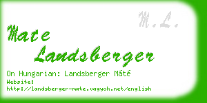 mate landsberger business card