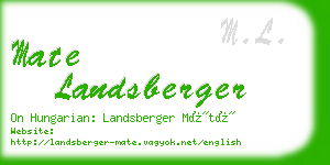 mate landsberger business card